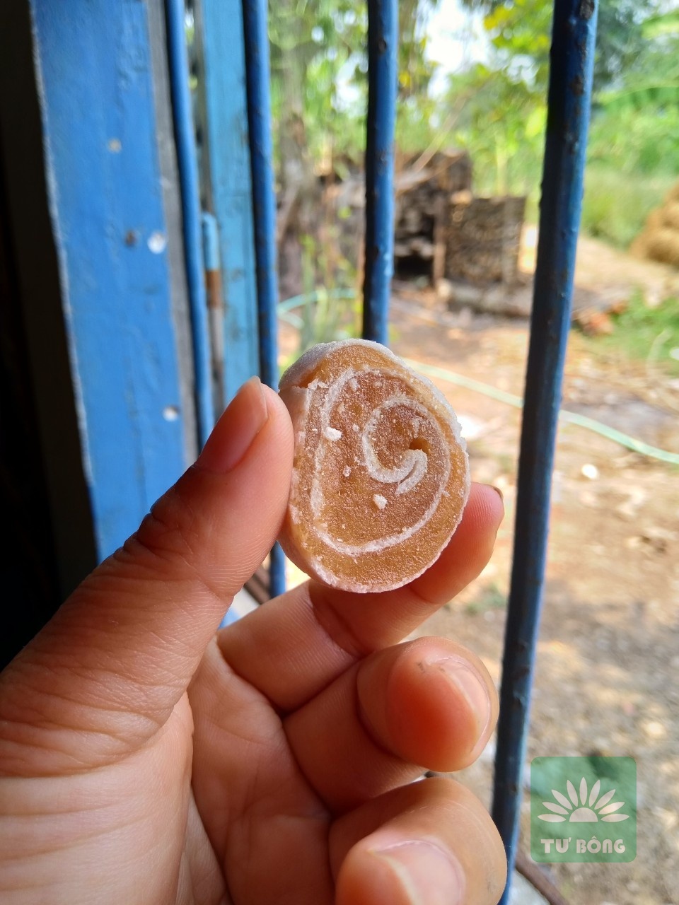 Mãng cầu xiêm
